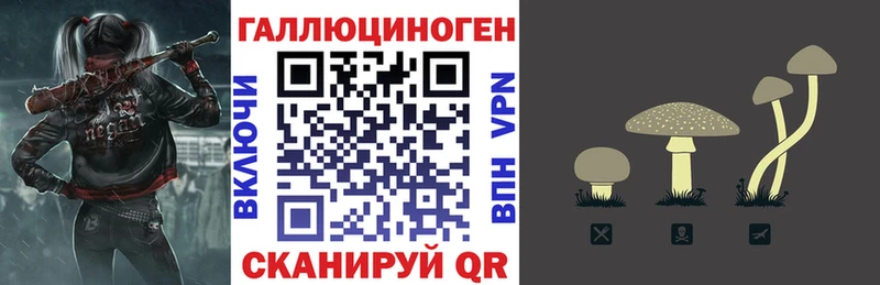 Псилоцибиновые грибы Psilocybine cubensis  Купить  Шумиха 